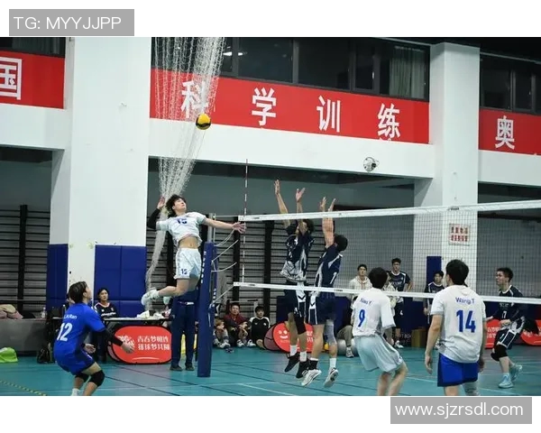 武汉排球队在欧锦赛中的蜕变与新生探索之旅