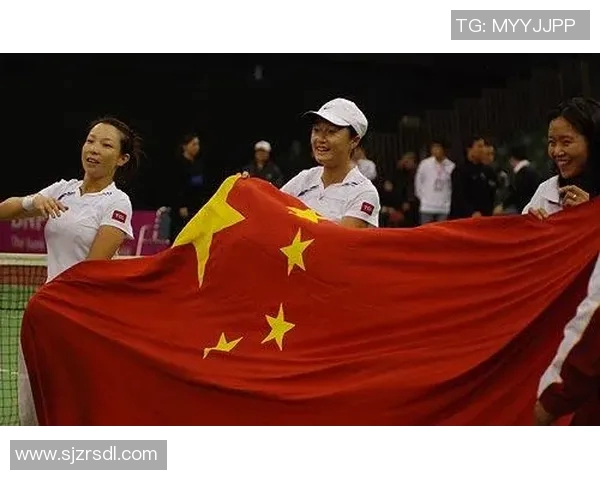 深圳网球队在联合会杯中的技术表现分析与点评